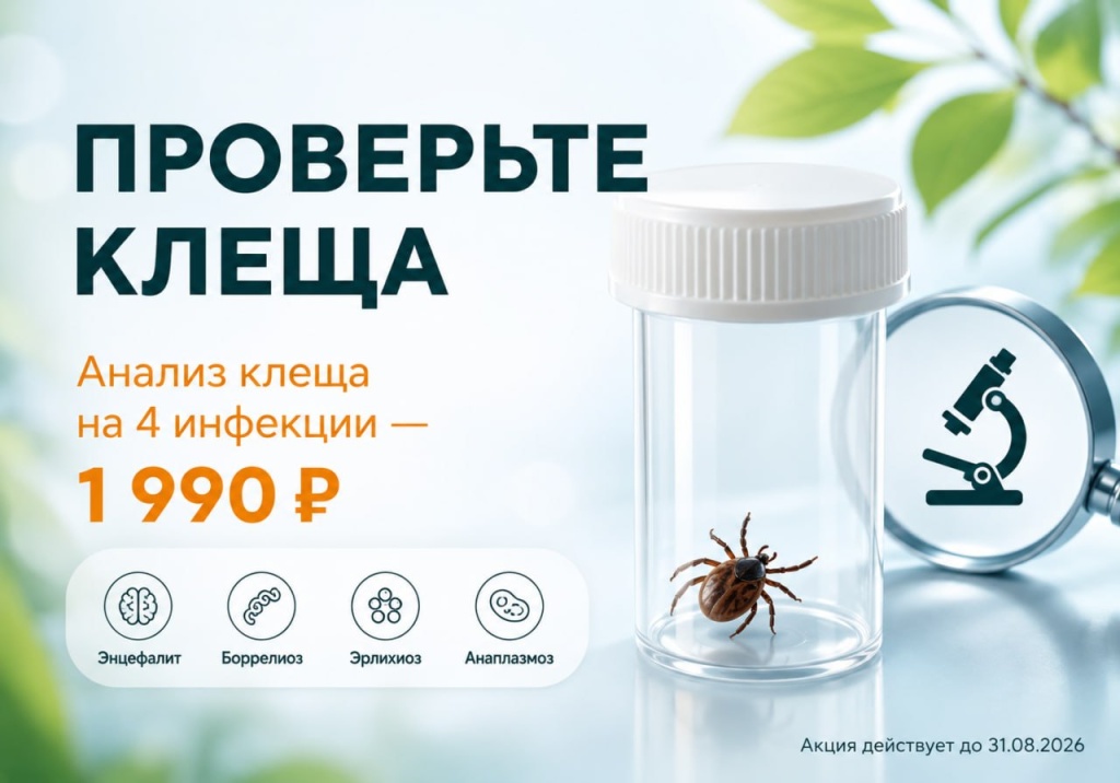 клещ.jpg